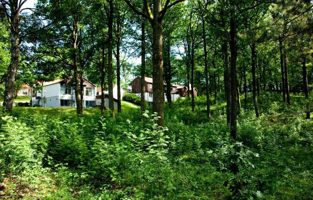 Ekebacken Hotell & Konferens Markaryd Extérieur photo